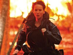 74 Hungerspiele Die Tribute Von Panem Wiki Fandom