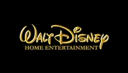 2014-present Walt Disney Home Entertainment logo