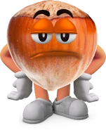 Hazelnut Guy