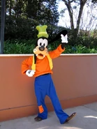 Goofy costume from 2014 to 2016