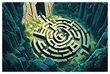 Quest Image