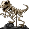 T-Rex Skeleton