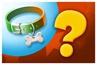 Quest Image