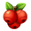 Mat029.png