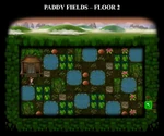 Paddy Fields