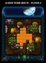 Alder Terrarium