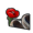 1461