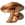 Mat097.png