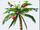 2013palm.jpg