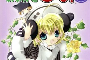 デ・ジ・キャラット CD-BOX でじこのサウンドパーティー デ・ジ・キャラット CD-BOX でじこのサウンドパーティー | HMV&BOOKS