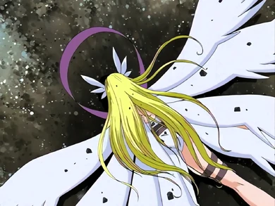 Angewomon defeated by LadyDevimon