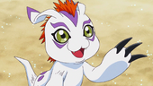 Gomamon