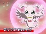 MarineAngemon