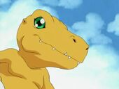 Agumon