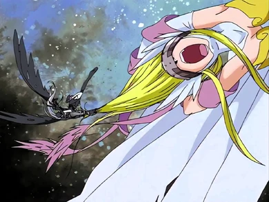 LadyDevimon pulls Angewomon's hair