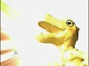 Agumon Wrap Digivolve to...