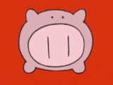 Porkymon