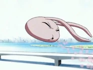 Burbujas Koromon.jpg (125 kB) Burbujas