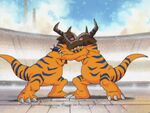 Battle between Greymon in Digimon Adventure