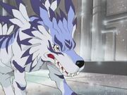 Garurumon DA (1)