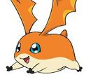 Patamon (Adventure)