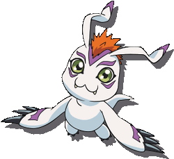 Gomamon - Wikimon - The #1 Digimon wiki