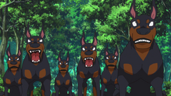 8-46 Jiroumaru dogs.png