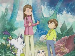 T.K & Hikari con sus digimon  Digimon, Personagens de anime, Digimons