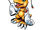 Agumon Expert