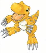 Digital Monster Card Game