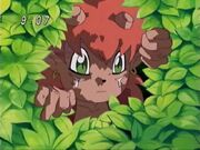 Flamon hiding.jpg