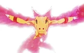 Agumon burst