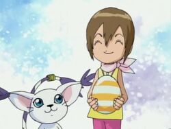 T.K & Hikari con sus digimon  Digimon, Personagens de anime, Digimons