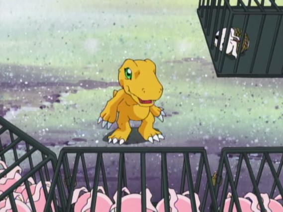 List of Digimon Adventure (1999 TV series) episodes - Wikipedia