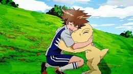 Agumon in Reunion