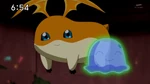 Patamon y Poyomon en Digimon Hunters