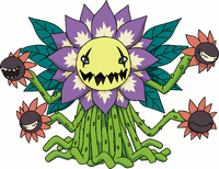 Blossomon t