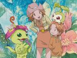 Mimi's casual outfit, twenty-five years after the defeat of MaloMyotismon in Digimon Adventure 02