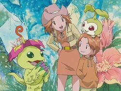 Who does Mimi marry in Digimon?