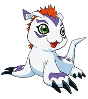 Gomamon2
