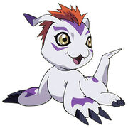 Gomamon tri