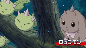 9-29 Analyzer Lopmon