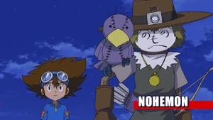 9-47 Analyzer Nohemon EN