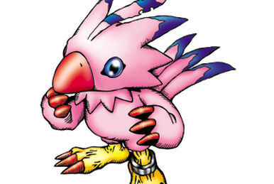 Garudamon - Wikimon - The #1 Digimon wiki
