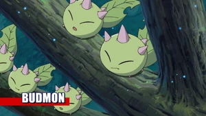 9-29 Analyzer Budmon EN