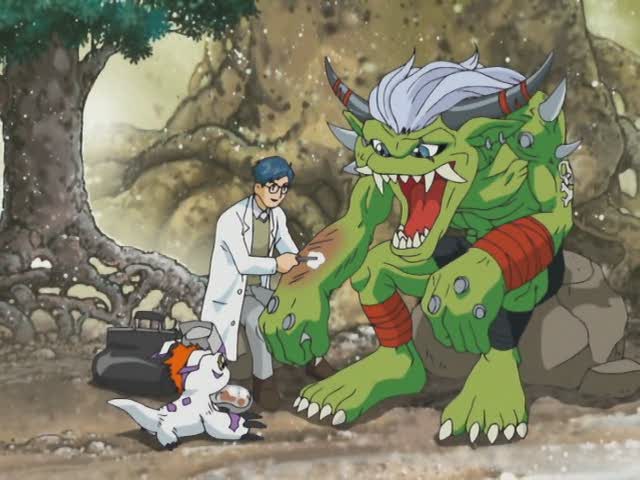 Digimon Adventure tri. The Characterization of Joe Kido and Mimi