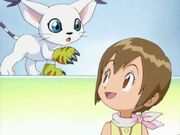 Kari und Gatomon