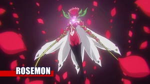 9-55 Analyzer Rosemon EN