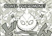 Bowel Pheromone.jpg
