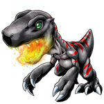 BlackAgumon X